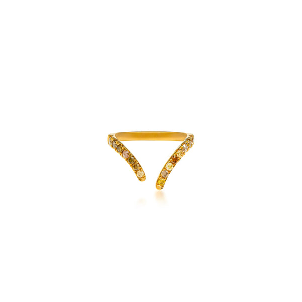 Fancy Color Diamond Reverse Split Vanki