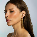 Fancy Color Briolette Chandelier Earrings