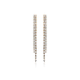 Double Linear Earring