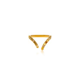Fancy Color Diamond Reverse Split Vanki